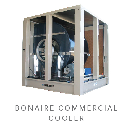 Bonaire Commercial Cooler